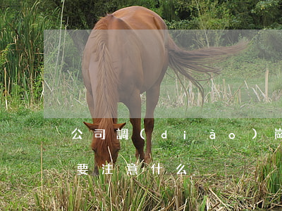 公司調(diào)崗調(diào)薪需要注意什么？